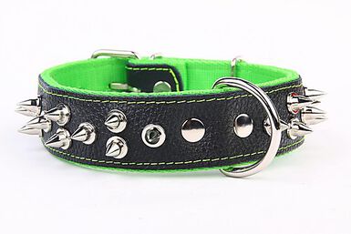 Yogipet - Collier Large Cuir Pointe pour Chien Vert