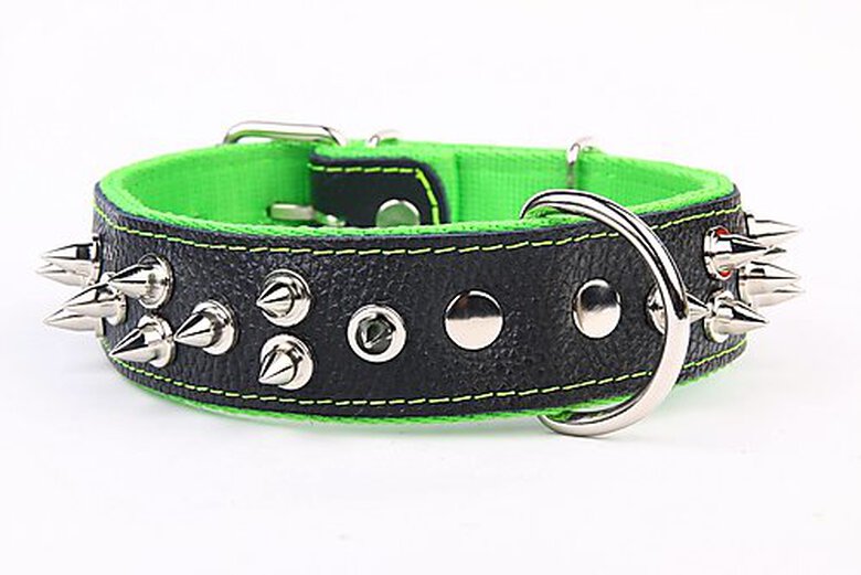 Yogipet - Collier Large Cuir Pointe pour Chien - Vert image number null