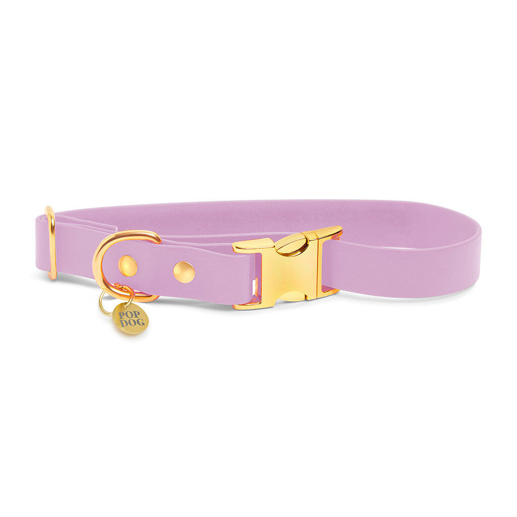 Pop Dog - Collier Pr&eacute;cieux Violet pour Chien - S Image num&eacute;ro 1