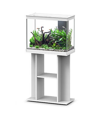 Aquadisio - Aquarium Alto 60cm - Blanc