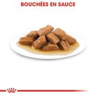 ROYAL CANIN - SACHET FRAICHEUR MEDIUM AGEING 10+ en sauce POUR CHIENS SENIORS - 10x140g image number null