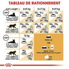 Royal Canin - Croquettes Maine Coon pour Chat Adulte - 10Kg image number null