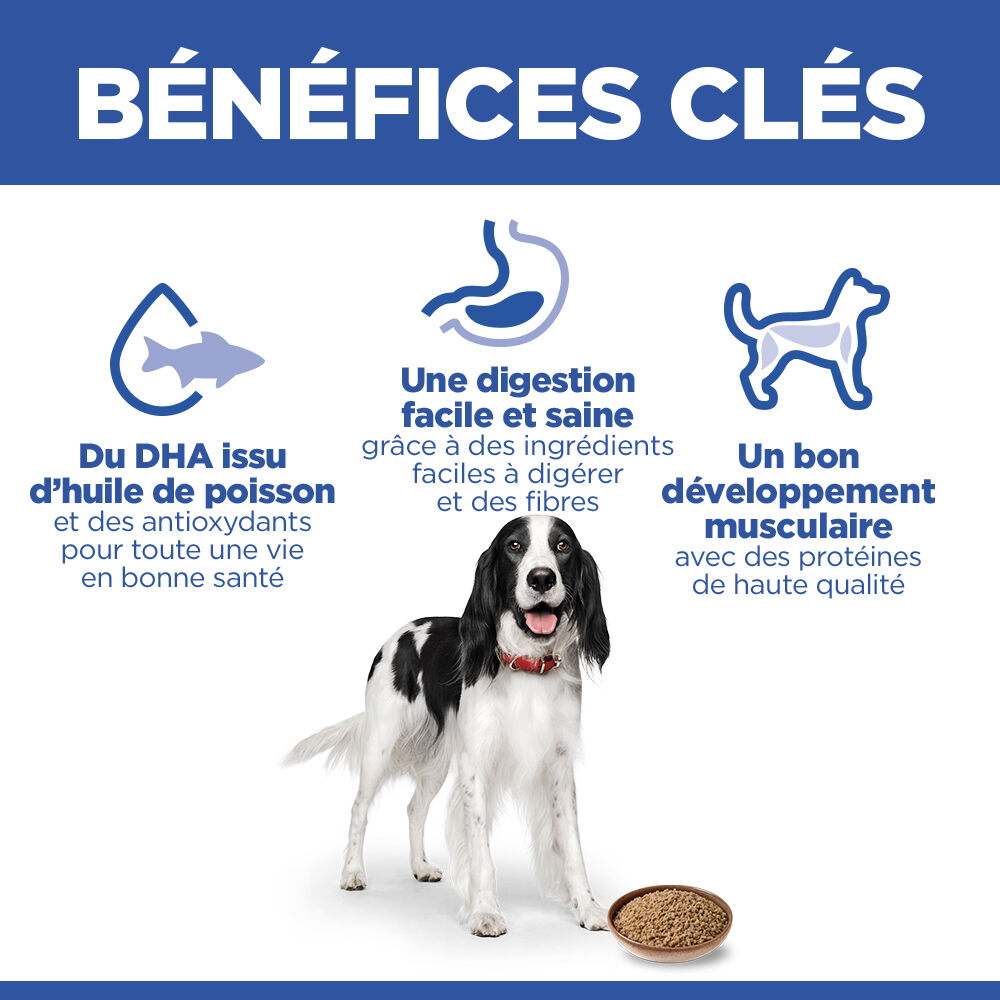 Hill's Science Plan - Adult Boite Pour Chien Poulet  - 370g Image num&eacute;ro 8