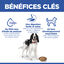 Hill's Science Plan - Adult Boite Pour Chien Poulet  - 370g Indicateur image num&eacute;ro 8