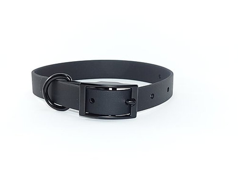 eKys - Collier Biothane 25mm pour Chien - Noir image number null