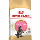 Royal Canin - Croquettes Maine Coon Kitten pour Chaton - 400g image number null