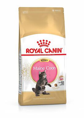 Royal Canin - Croquettes Maine Coon Kitten pour Chaton - 400g