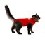 Medical Pet Shirt - Gilet de Protection Plaies pour Chats - XS Indicateur image num&eacute;ro 2