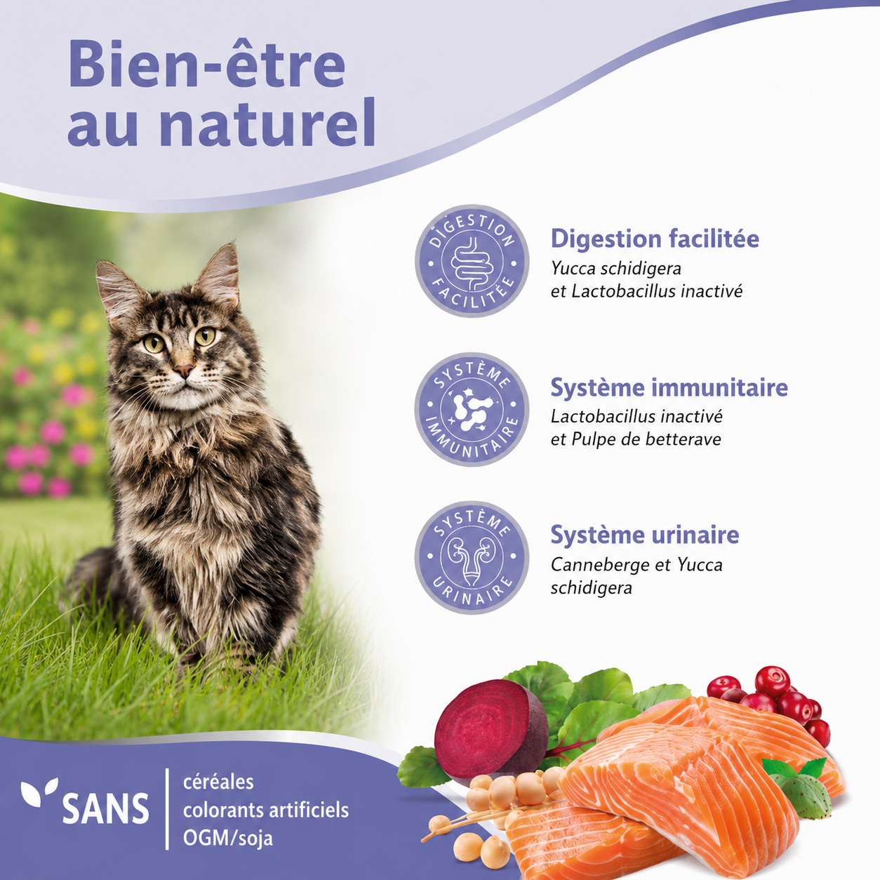 Nutrivia Nature Plus - Croquettes Naturelles au Saumon pour Chats St&eacute;rilis&eacute;s - 2kg Image num&eacute;ro 4