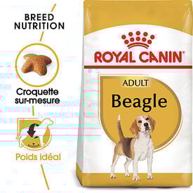 Royal Canin - Croquettes Beagle Adult pour Chien