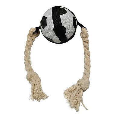 Tootoy! - Ballon Foot