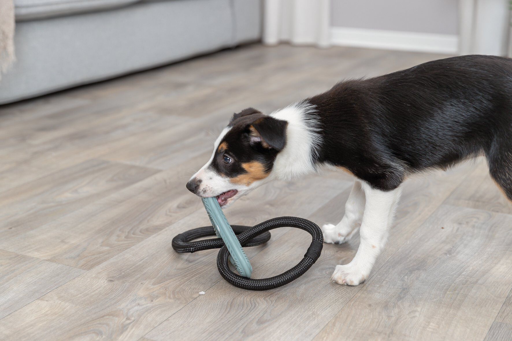 Trixie - TRIANGLE ANNEAUX CORDE CITYSTYLE - 44 CM Image num&eacute;ro 3