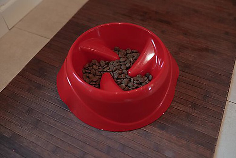 Ferplast - Ecuelle Anti-glouton Magnus Slow Gris - L Image numéro 4 Ferplast - Ecuelle Anti-glouton Magnus Slow Gris - L Image numéro 4