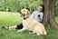 Petsafe - Collier Supplémentaire Anti Fugue "Chiens Têtus" pour Clôture Anti Fugue Sans Fil Stay+Play Indicateur image numéro 4