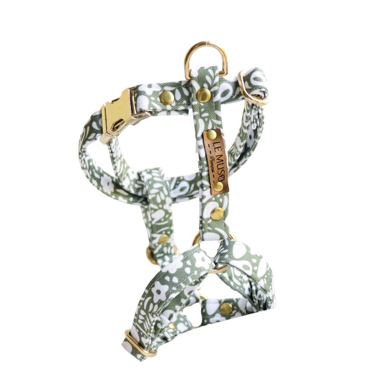 Le Muso - Harnais Oscar Vert pour Chiens - M Image numéro 1 Le Muso - Harnais Oscar Vert pour Chiens - M Image numéro 1