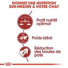 Royal Canin - Croquettes Fit 32 pour Chat Adulte - 2Kg image number null