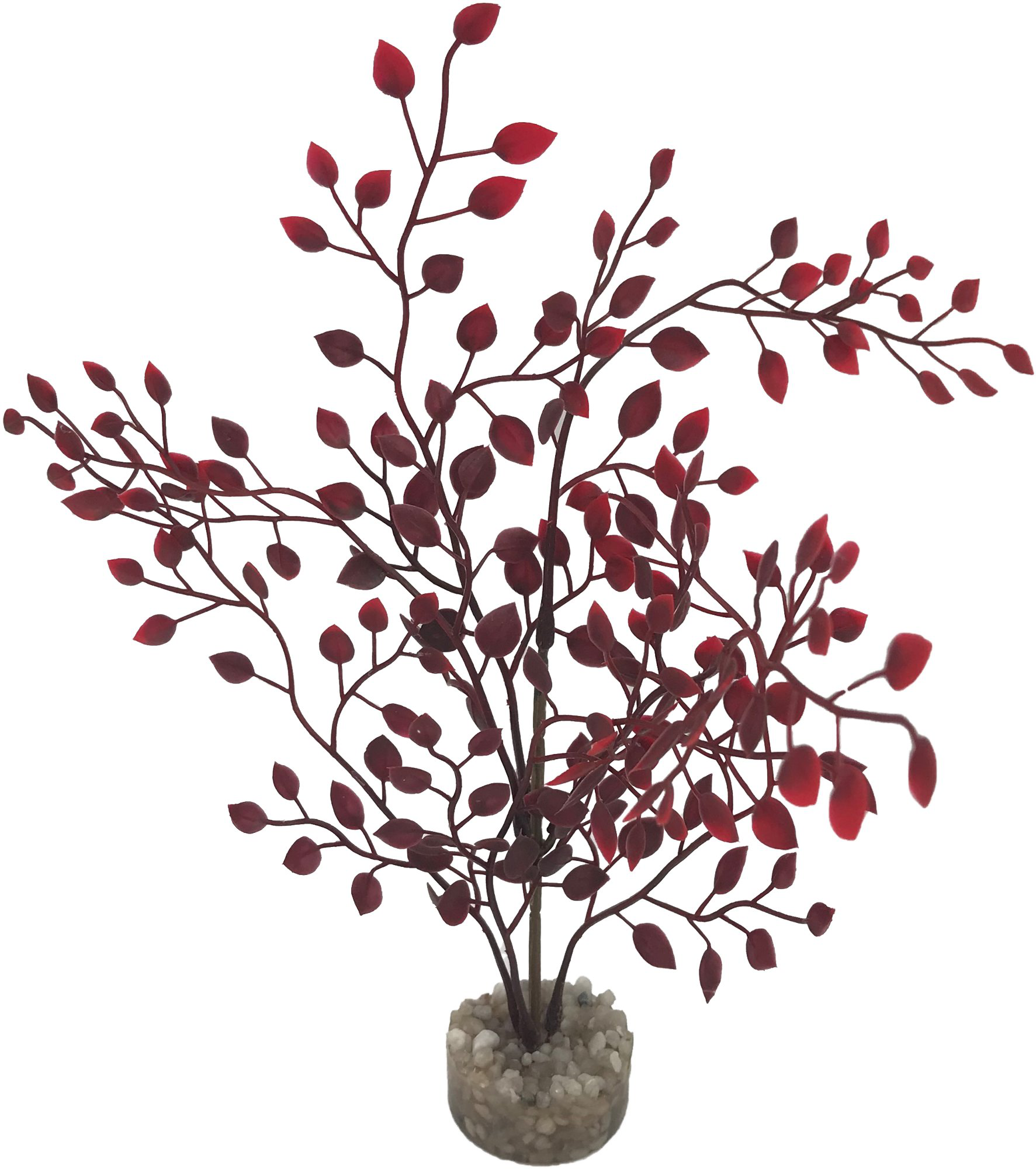 Labeo - Plante D&eacute;corative Herbe Fine pour Aquarium Image num&eacute;ro 1