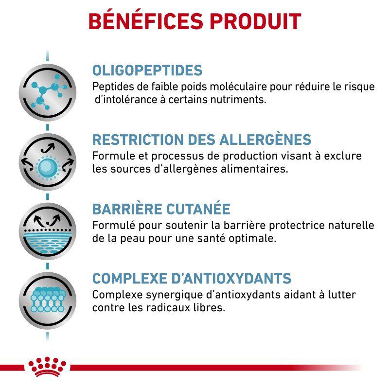 Royal Canin - Croquettes Veterinary Diet Anallergenic pour Chiens - 3Kg Image num&eacute;ro 3