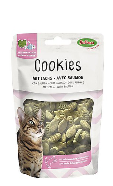 Bubimex - Biscuits à l'Herbe à Chat et au Saumon pour Chat - 50g image number null