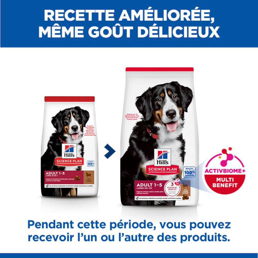 Hill's Science Plan - Adult Croquettes Pour Grand Chien A L'agneau Et Riz  - 12kg Image num&eacute;ro 5