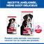 Hill's Science Plan - Adult Croquettes Pour Grand Chien A L'agneau Et Riz  - 12kg Indicateur image num&eacute;ro 5