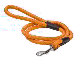 Bobby - Laisse Walk Orange pour Chiens