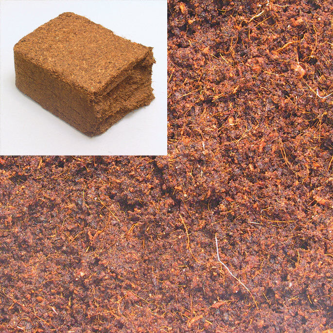 JBL - Substrat Terracoco Humus pour Terrarium - 600g/9L Image num&eacute;ro 2