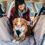 Kurgo - Harnais de Sécurité "Tru Fit" Violet pour Chiens - XS Indicateur image numéro 3