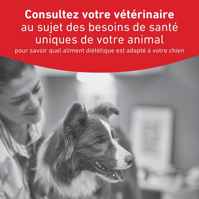 Royal Canin - Croquettes Veterinary Glycobalance Diabetic pour Chien - 12Kg Image num&eacute;ro 11