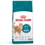 Royal Canin - Croquettes Ageing Sterilised 11+ pour Chats Senior Stérilisés - 4Kg Indicateur image numéro 1