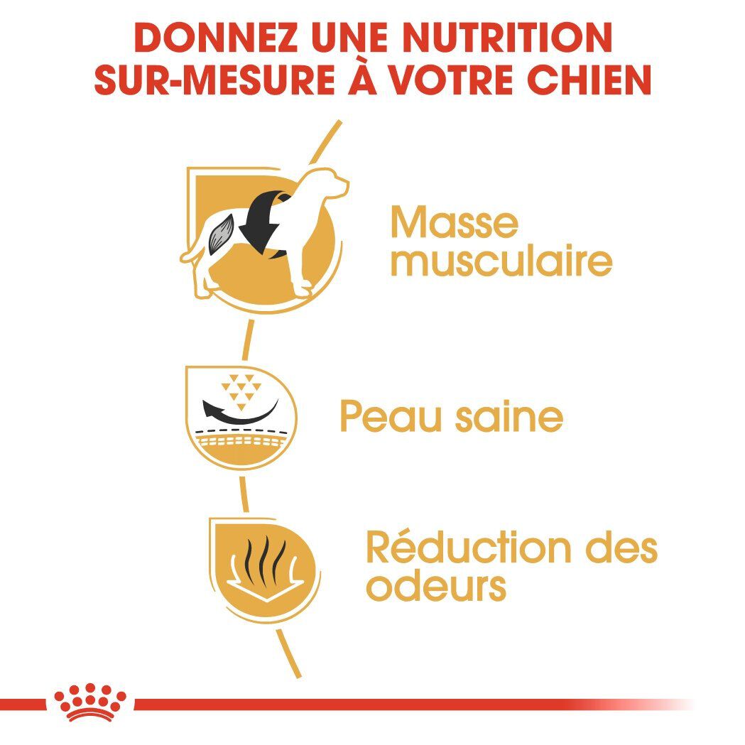 Royal Canin - Croquettes Bouledogue Fran&ccedil;ais Adulte pour Chien - 9Kg Image num&eacute;ro 5