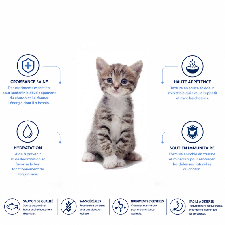 Nath - P&acirc;t&eacute;e en sauce au saumon pour Chatons de 4 &agrave; 12 mois - 70g Image num&eacute;ro 2