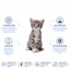 Nath - P&acirc;t&eacute;e en sauce au saumon pour Chatons de 4 &agrave; 12 mois - 70g Indicateur image num&eacute;ro 2