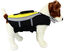 Alcott - Gilet de Sauvetage Life Jacket Neon Jaune pour Chien - L Indicateur image numéro 3