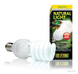 Exo Terra - Ampoule Natural Light Fluocompact pour Terrarium - 26W