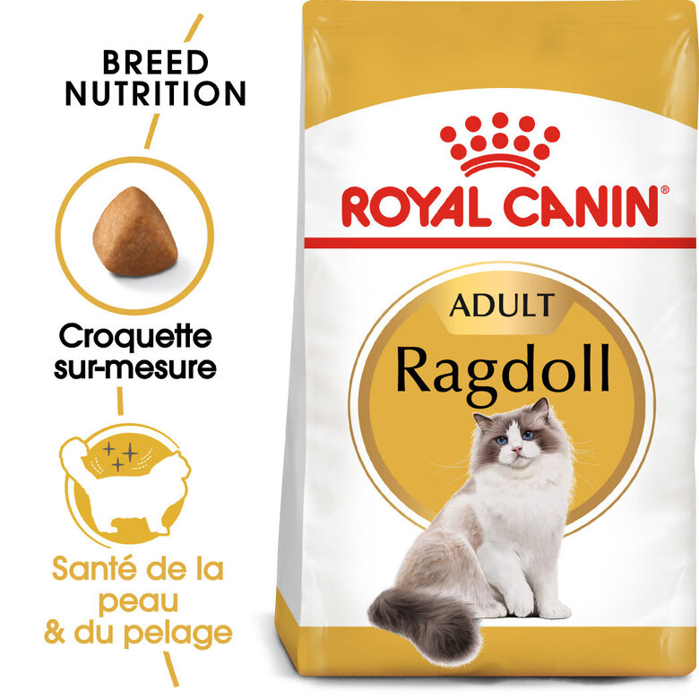 Royal Canin - Croquettes Ragdoll Adult pour Chat - 2Kg Image numéro 1 Royal Canin - Croquettes Ragdoll Adult pour Chat - 2Kg Image numéro 1