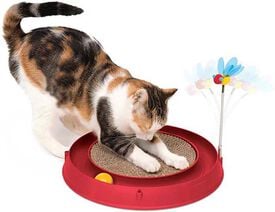 Catit - Jouet Play Circuit 3 en 1 pour Chats - Orange