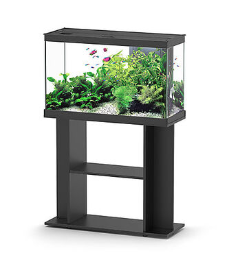 Aquadisio - Aquarium Alto 80cm - Noir