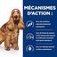 Hill's - Croquettes Prescription Diet Z/D Food Sensitivities pour Chiens - 8Kg Indicateur image numéro 4