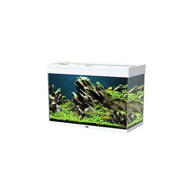 Ciano - Aquarium Emotions Nature Pro 80 - Blanc