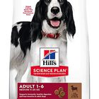 Hill's Science Plan - Croquettes à l'Agneau et Riz pour Chien - 12Kg image number null