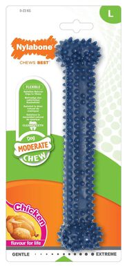 Nylabone - Jouet Os Dental Moderate Chew pour Chien