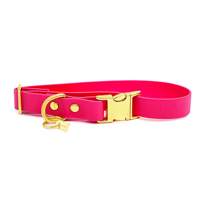 Pop Dog - Collier Glouton Rose pour Chien - L image number null