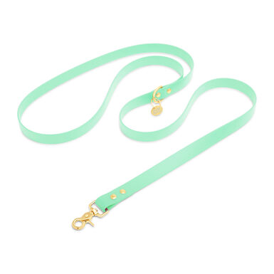 Pop Dog - Laisse Bandoulière Swimmy Vert pour Chien
