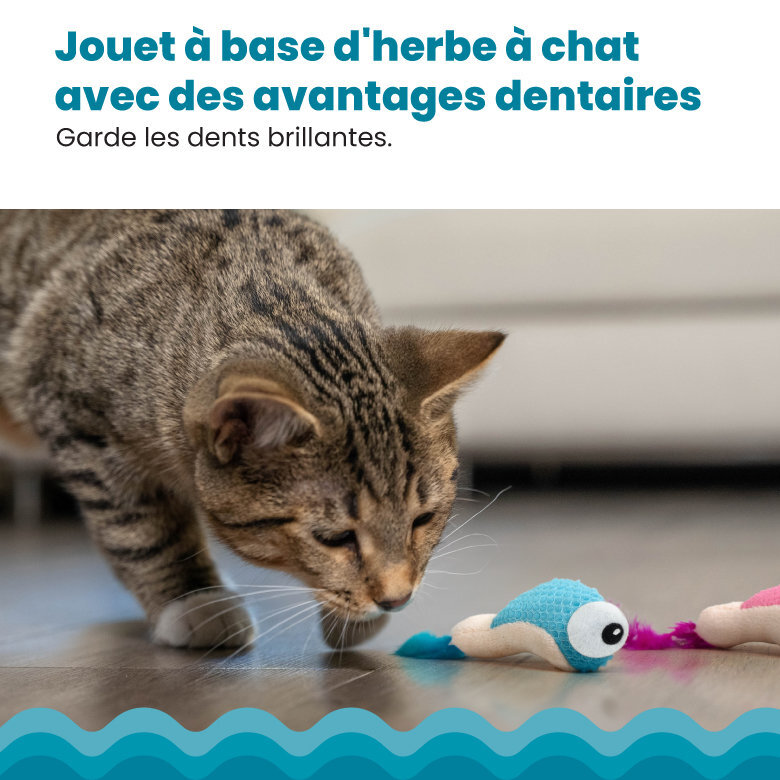 Outward Hound - Jouet à Mâcher Dental Shrimpies pour Chats - x2 Image numéro 3 Outward Hound - Jouet à Mâcher Dental Shrimpies pour Chats - x2 Image numéro 3