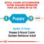 Royal Canin - Croquettes Golden Retriever Junior pour Chiot - 12Kg Indicateur image numéro 6