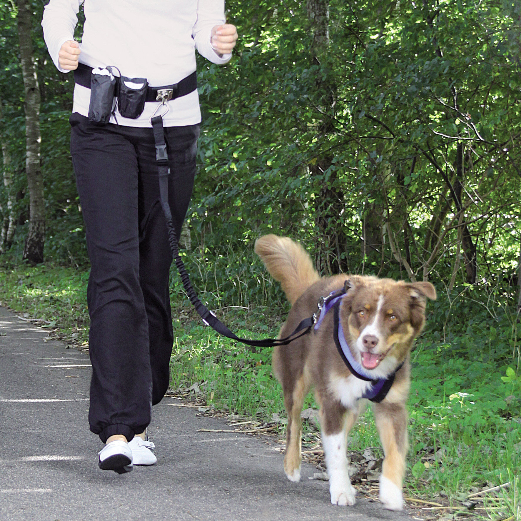 Trixie - Laisse Canicross Avec Ceinture Ventrale pour Chien - Noir Image num&eacute;ro 2