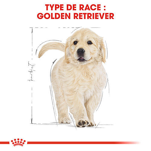 Royal Canin - Croquettes Golden Retriever Junior pour Chiot - 12Kg Image num&eacute;ro 5