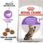 Royal Canin - Croquettes Appetite Control 7+ Senior Sterilised pour Chat Senior - 1,5Kg Indicateur image numéro 2