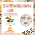 Wellness CORE - Croquettes Original Dinde et Poulet pour Chat - 4Kg image number null